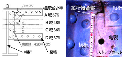 fig1.jpg