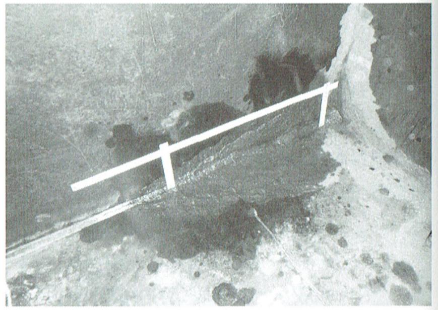 M_bridge_4.jpg
