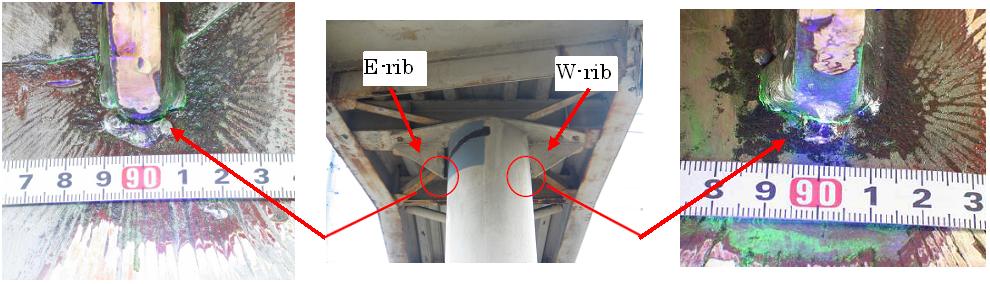 Fig4.jpg