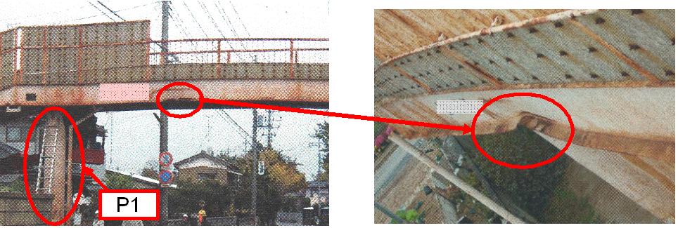Fig5.jpg