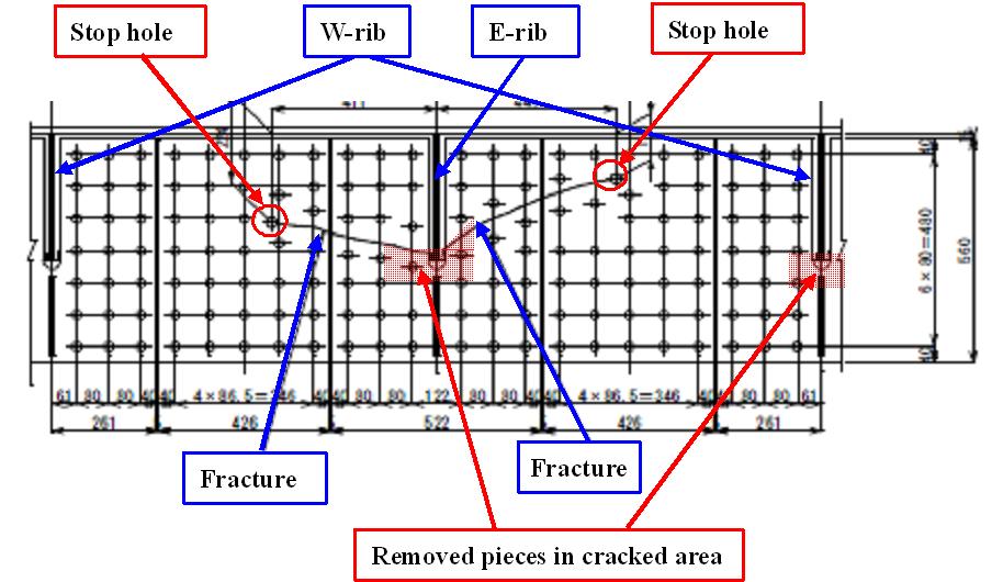 Fig6.jpg