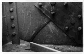Shinka2.gif